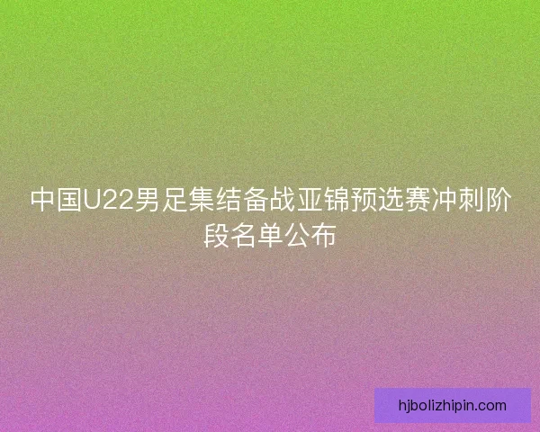 中国U22男足集结备战亚锦预选赛冲刺阶段名单公布