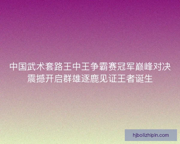 中国武术套路王中王争霸赛冠军巅峰对决震撼开启群雄逐鹿见证王者诞生