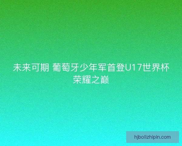 未来可期 葡萄牙少年军首登U17世界杯荣耀之巅